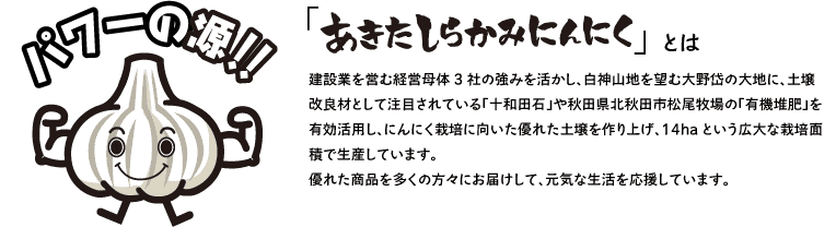 黒にんにくの通販しらかみファーマーズ